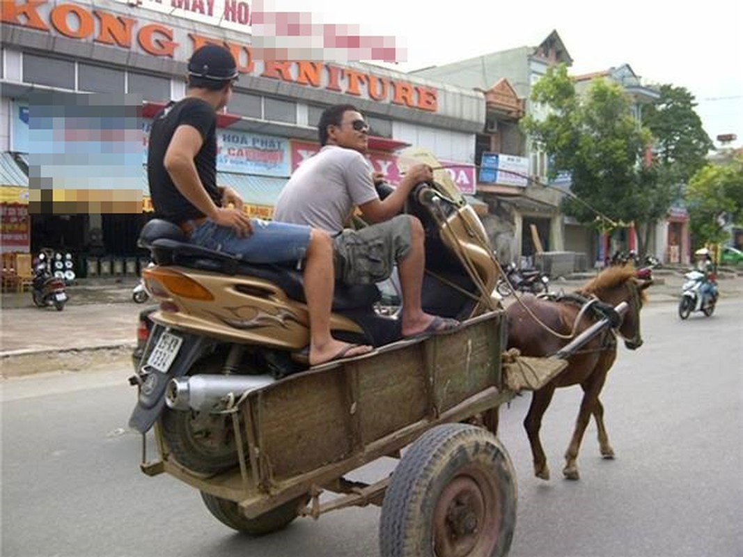 Hoang hon voi my nu ao trang 